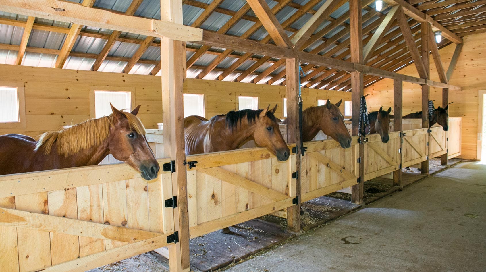 Horse stables Camp Wicosuta